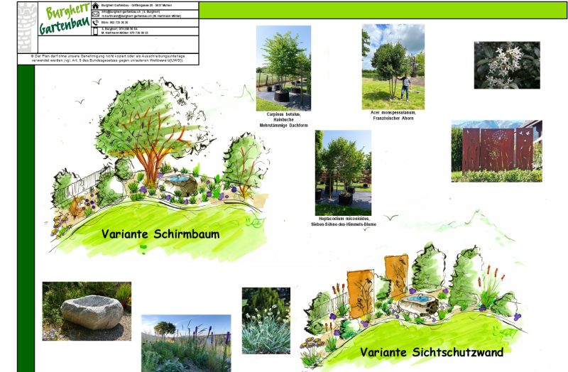 Visualisierung Gartenumgestaltung mit Steinbunnen und Sichtschutz